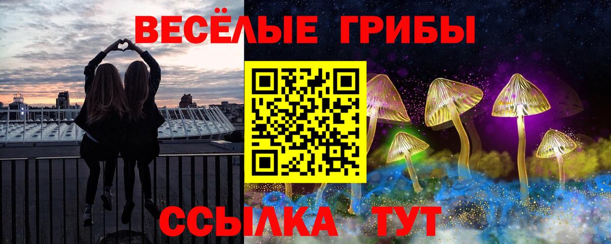 Гулькевичи  Галлюциногенные грибы прущие грибы  Галлюциногенные грибы ЛСД  Вход с VPN 